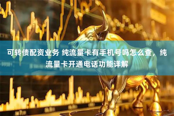 可转债配资业务 纯流量卡有手机号吗怎么查，纯流量卡开通电话功能详解