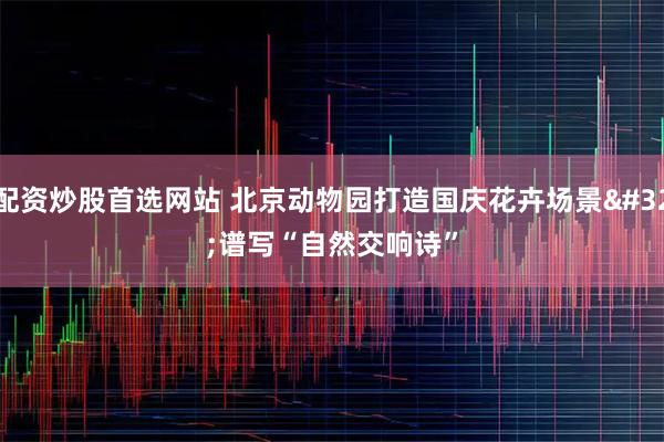 配资炒股首选网站 北京动物园打造国庆花卉场景&#32;谱写“自然交响诗”
