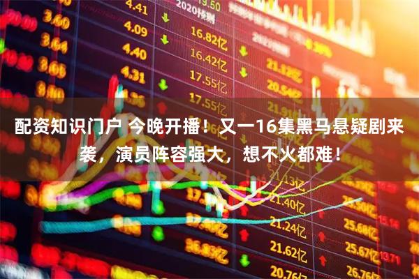 配资知识门户 今晚开播！又一16集黑马悬疑剧来袭，演员阵容强大，想不火都难！