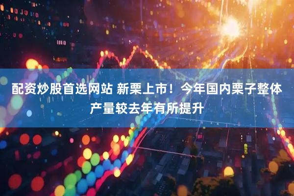 配资炒股首选网站 新栗上市！今年国内栗子整体产量较去年有所提升