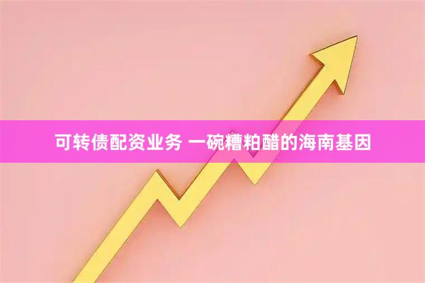 可转债配资业务 一碗糟粕醋的海南基因