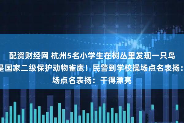 配资财经网 杭州5名小学生在树丛里发现一只鸟，经查竟是国家二级保护动物雀鹰！民警到学校操场点名表扬：干得漂亮